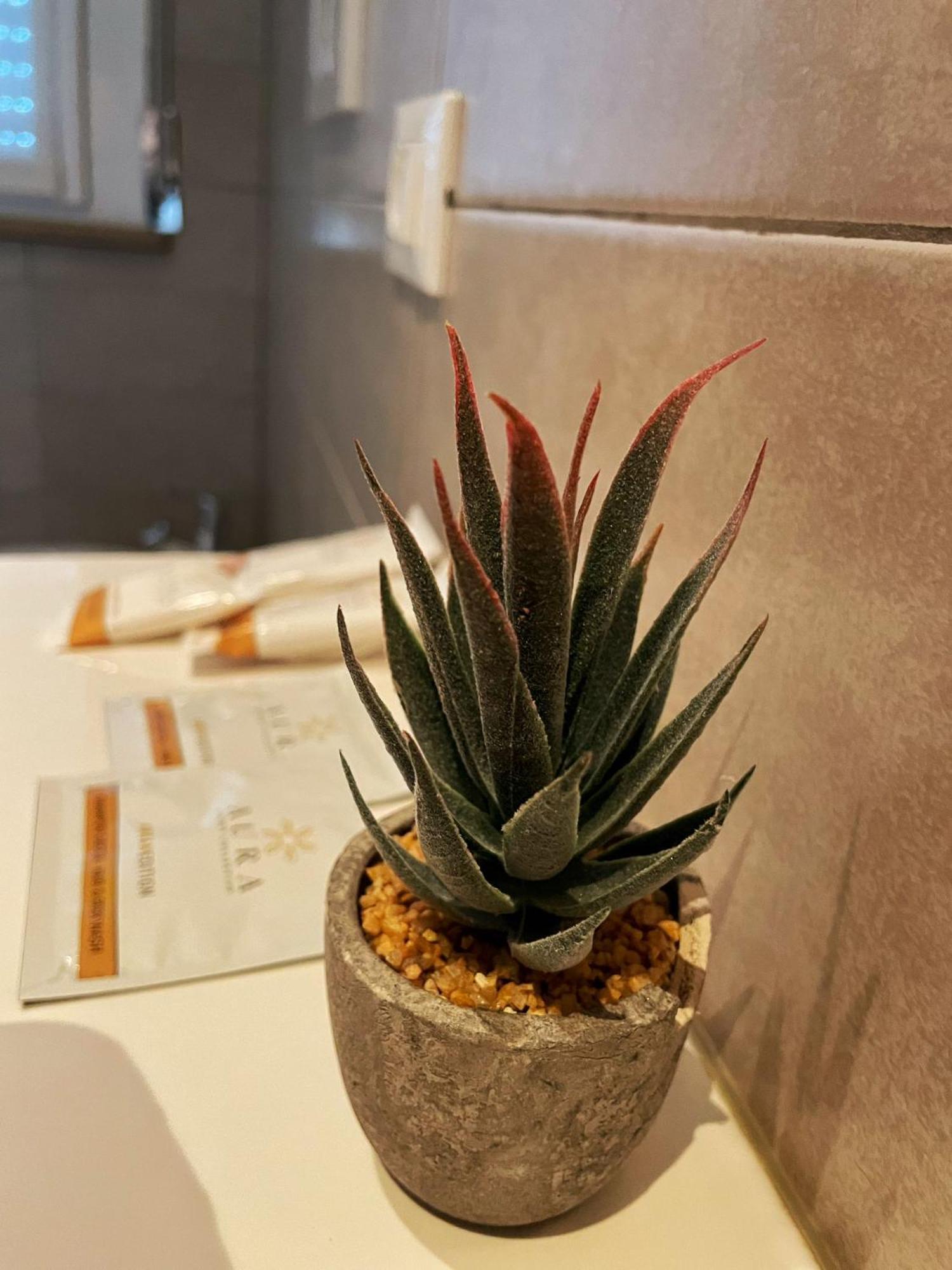 Alla Scaletta - Stanze Con Bagno Privato E Wifi A Pochi Passi Dal Duomo Mirandola Exteriér fotografie